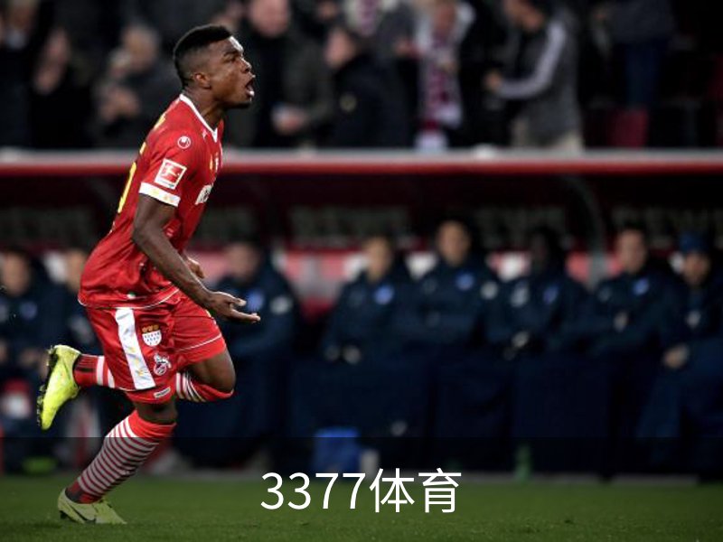 关于3377体育
